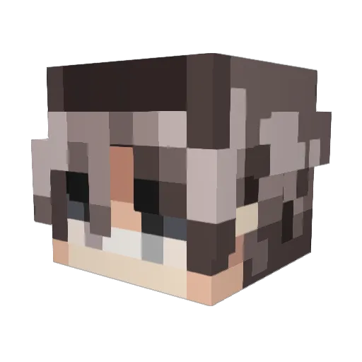 Rvllin Minecraft avatar head, 3D render