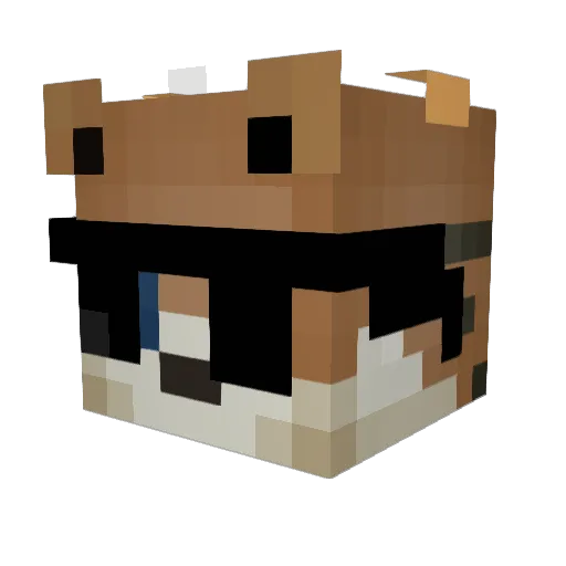 RvnHooliganTTV Minecraft avatar head, 3D render