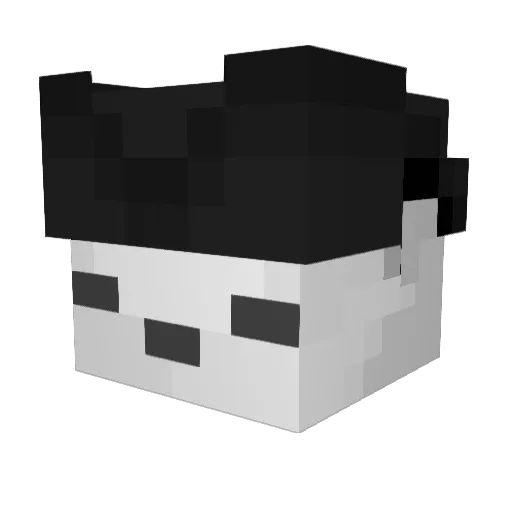RvnsuRuns Minecraft avatar head, 3D render