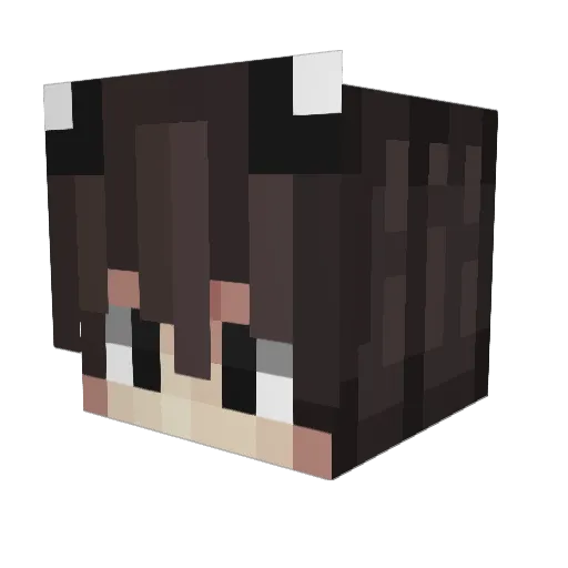 RvstShiqx Minecraft avatar head, 3D render