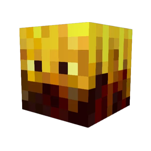 Rwena111 Minecraft avatar head, 3D render
