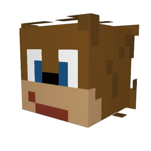 Rwilly Minecraft avatar head, 3D render