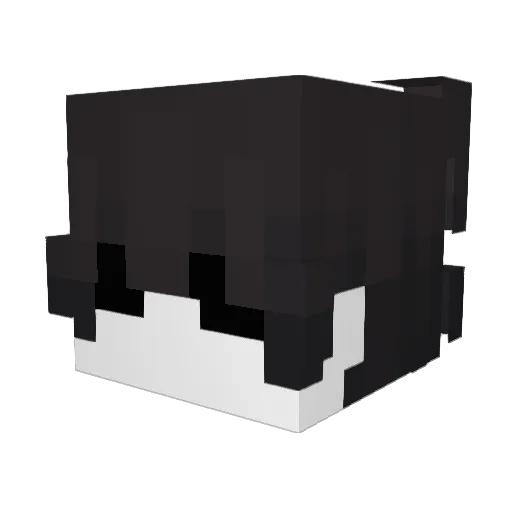 Rwins Minecraft avatar head, 3D render