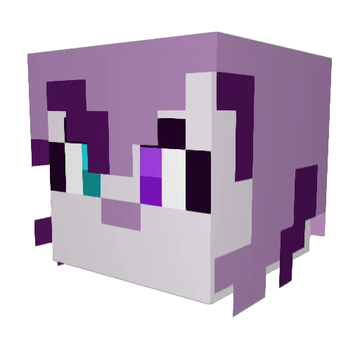 Rwiverroo Minecraft avatar head, 3D render