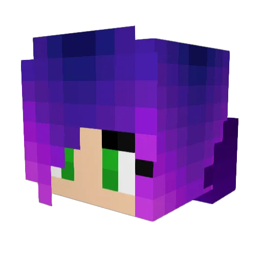 Rww3Drw Minecraft avatar head, 3D render