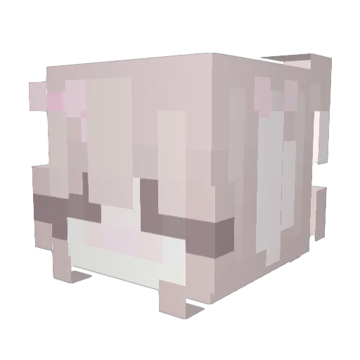 Rwzz_ Minecraft avatar head, 3D render