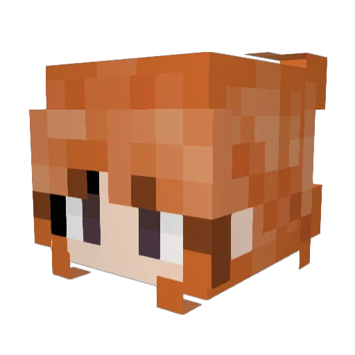 Rx311 Minecraft avatar head, 3D render