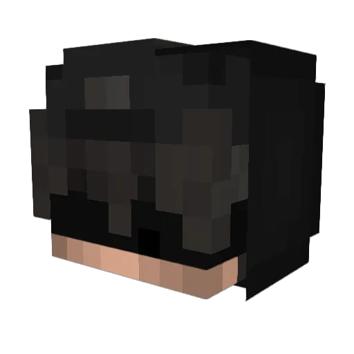 RxbbitToqqled Minecraft avatar head, 3D render