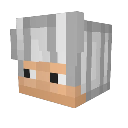 Rxbiin Minecraft avatar head, 3D render