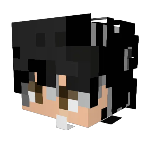 Rxbin_CC Minecraft avatar head, 3D render
