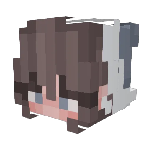 Rxbxccx73 Minecraft avatar head, 3D render