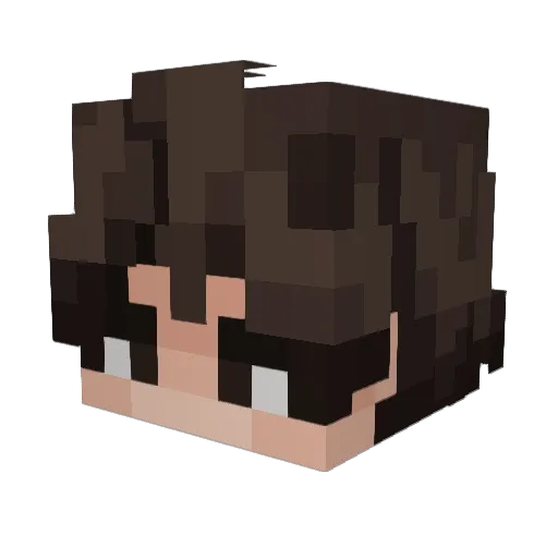Rxcardooo Minecraft avatar head, 3D render
