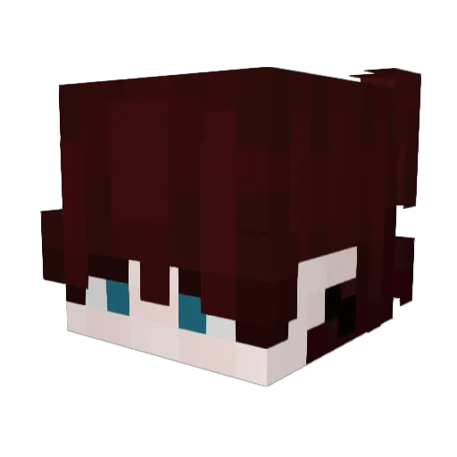 Rxdriguesz Minecraft avatar head, 3D render