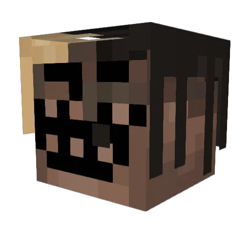 Rxgen Minecraft avatar head, 3D render