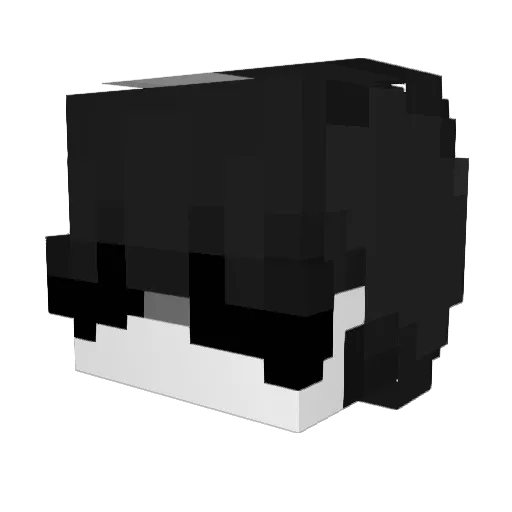RxmLxtgh Minecraft avatar head, 3D render