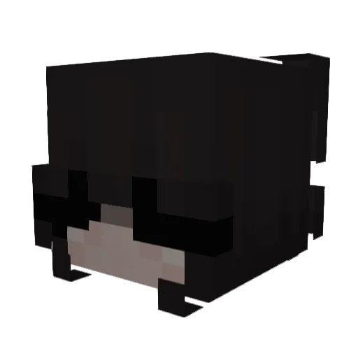Rxmyyyy Minecraft avatar head, 3D render