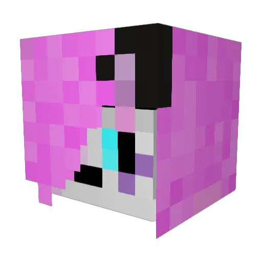 Rxna_ Minecraft avatar head, 3D render