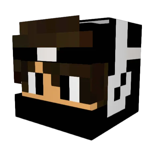 Rxnatin Minecraft avatar head, 3D render