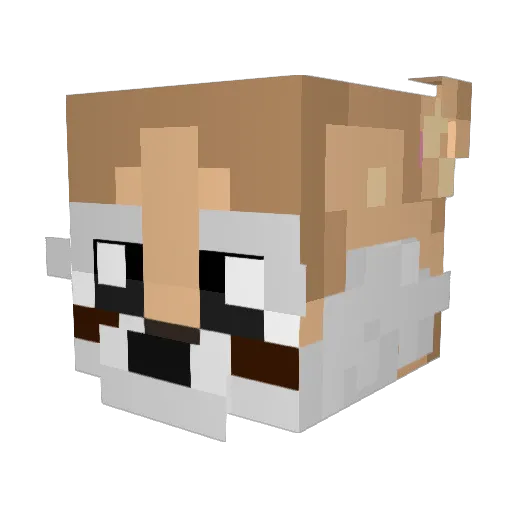 Rxnlld27 Minecraft avatar head, 3D render