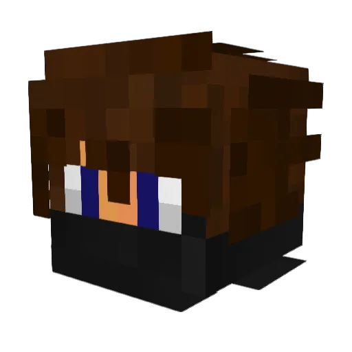 RxpeHackt Minecraft avatar head, 3D render
