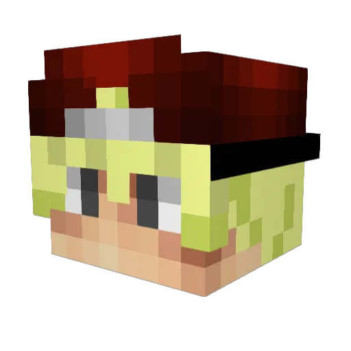 RxpeNeverDivs Minecraft avatar head, 3D render