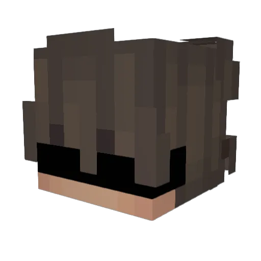 Rxsume_ Minecraft avatar head, 3D render