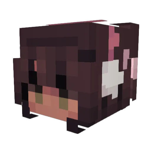 Rxyxnnx Minecraft avatar head, 3D render