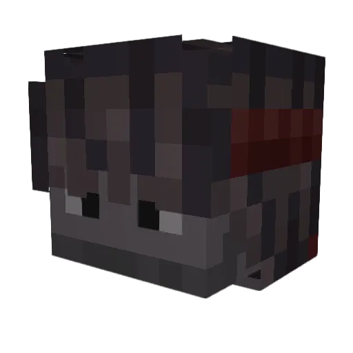 Rxyzey Minecraft avatar head, 3D render