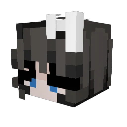 Rxz0r_0 Minecraft avatar head, 3D render