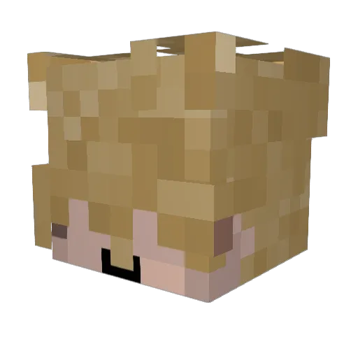 Ry1and Minecraft avatar head, 3D render