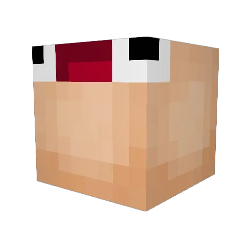 Ry808surf Minecraft avatar head, 3D render