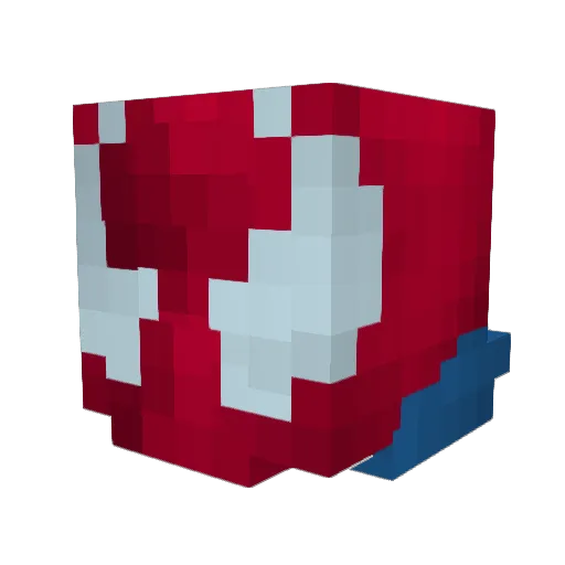 RyDawg999 Minecraft avatar head, 3D render