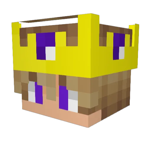 RyGuyNine Minecraft avatar head, 3D render