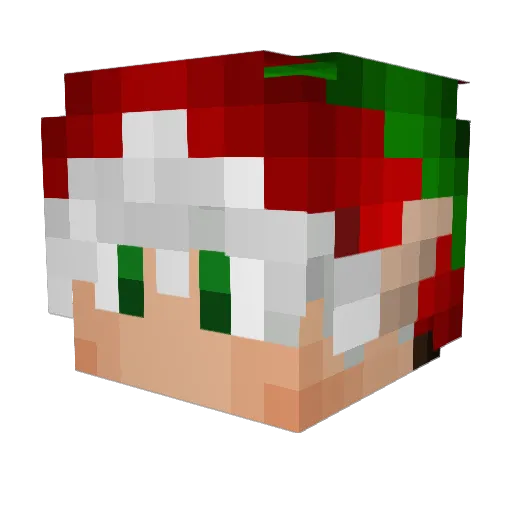 RyGuyyy_1 Minecraft avatar head, 3D render