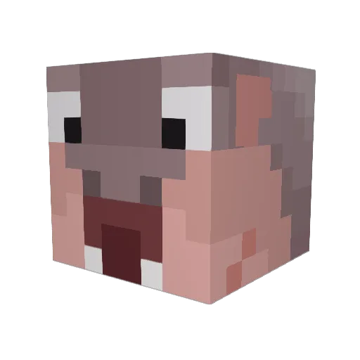RyLTurk Minecraft avatar head, 3D render