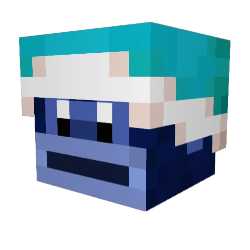 RyMc819 Minecraft avatar head, 3D render
