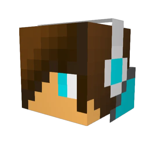 RyRy100 Minecraft avatar head, 3D render