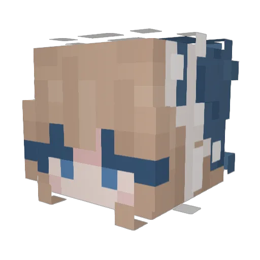 RyRy5516 Minecraft avatar head, 3D render