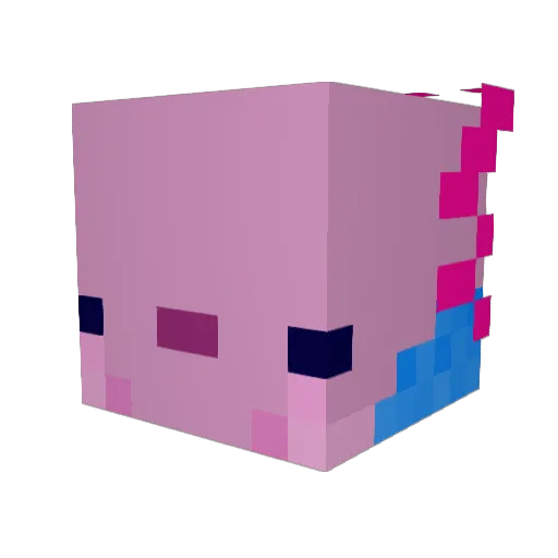 RyTheGuy326 Minecraft avatar head, 3D render