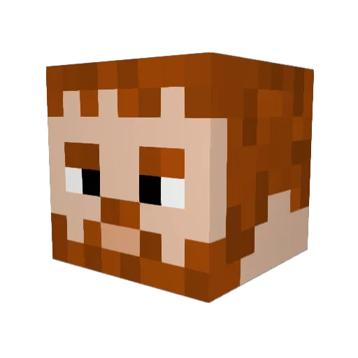 RyZeT3cn0 Minecraft avatar head, 3D render