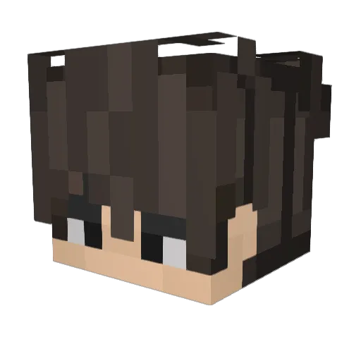 RyZe_Btw Minecraft avatar head, 3D render