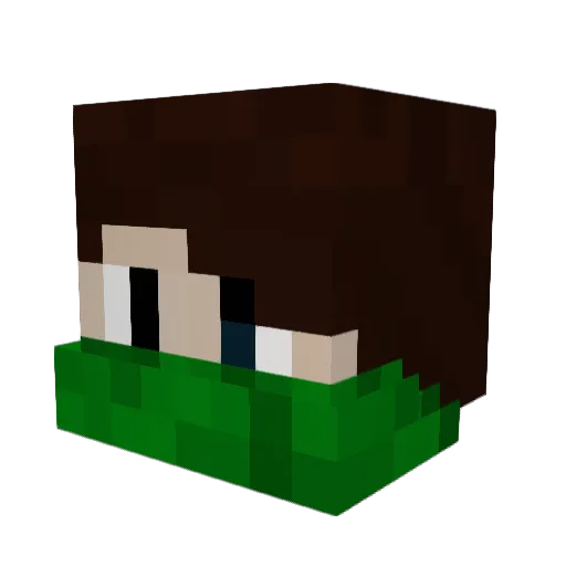 Ry_4n Minecraft avatar head, 3D render