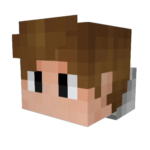 Ry_Bread1996 Minecraft avatar head, 3D render