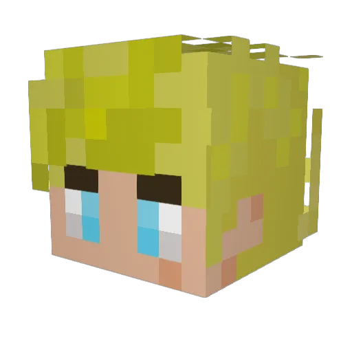 Ry_Ry13 Minecraft avatar head, 3D render