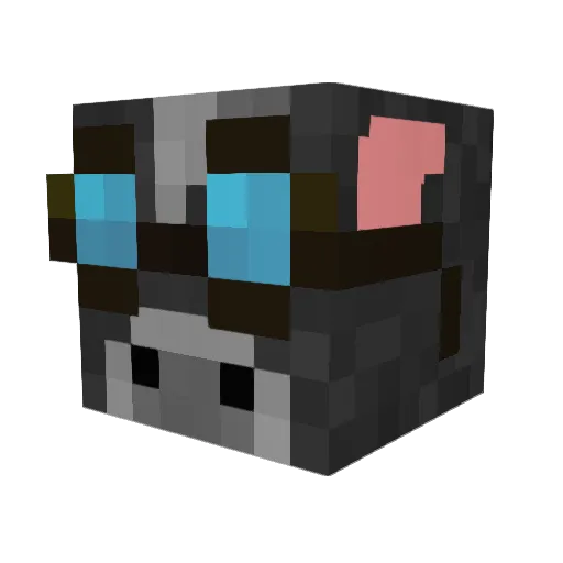 Ry_like_pi Minecraft avatar head, 3D render