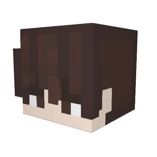 Ry_n_ Minecraft avatar head, 3D render