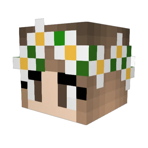 Ry_om Minecraft avatar head, 3D render