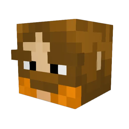 Ry_zin Minecraft avatar head, 3D render