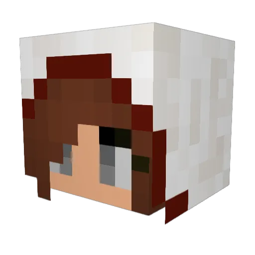 Ryaaa33 Minecraft avatar head, 3D render