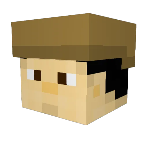 Minecraft-Avatar von Ryan20530: Kopf als 3D-Render